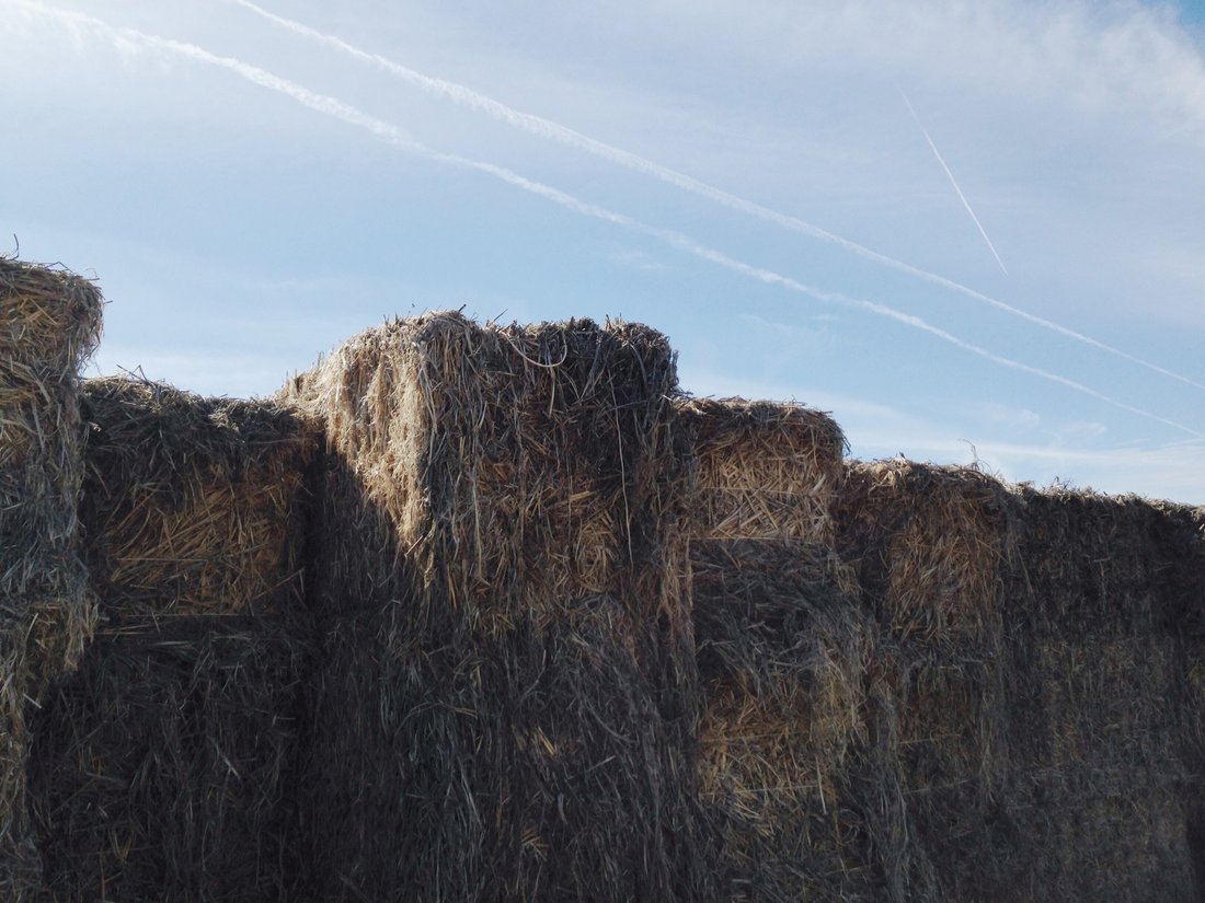 A New Breed of Fiber Mill BastCore Hemp Processing Fibershed