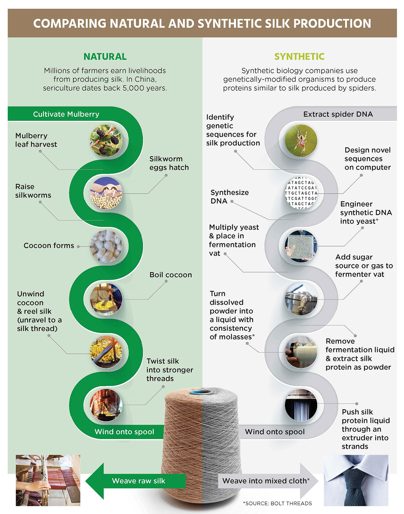 Comparing natural and Synthetic Silk Production, courtesy of ETC Group