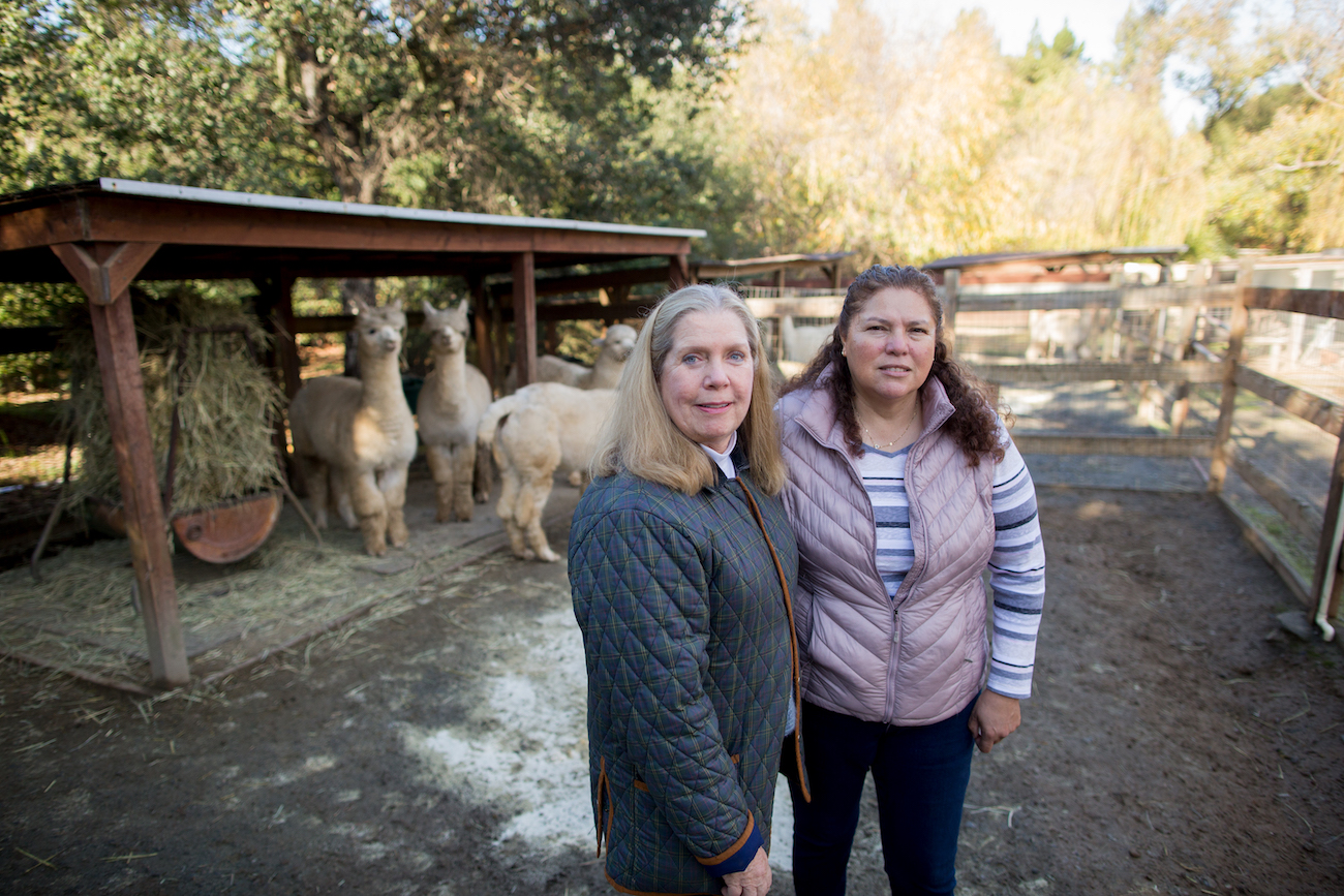 Heavenly Soft Yarn at Valhalla Farms Fibershed