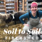 Soil to Soil