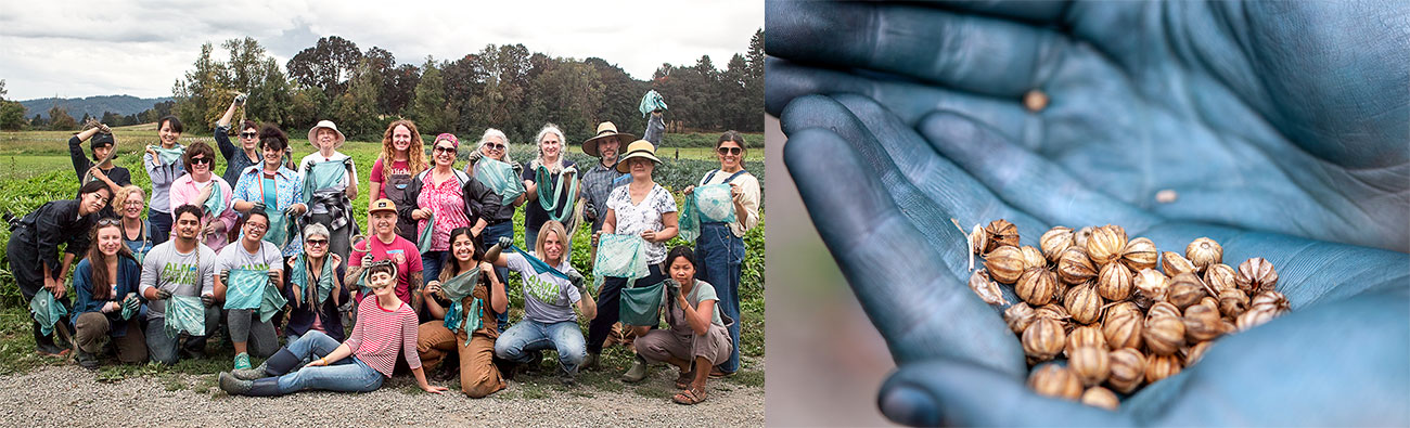 Flax and indigo workshop at Vibrant Valley Farm in Oregon, 2019
