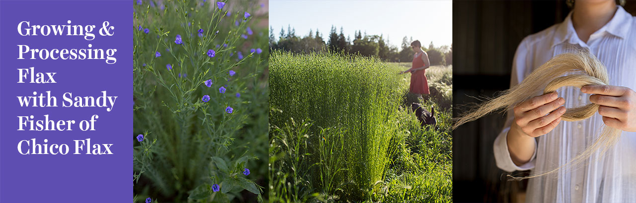 Growing & Processing Flax with Sandy Fisher