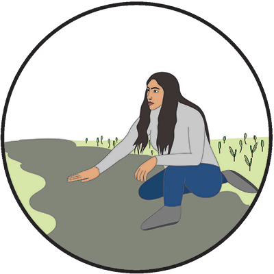 Indigenous Land Access and Tending, illustration by Amanda Coen