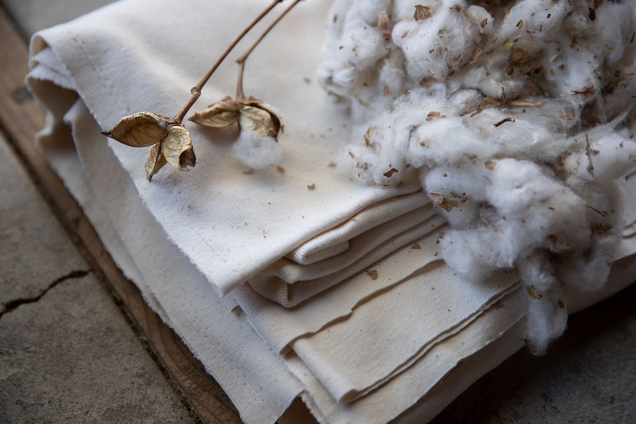 cotton plant, fiber and fabric; photo by Paige Green