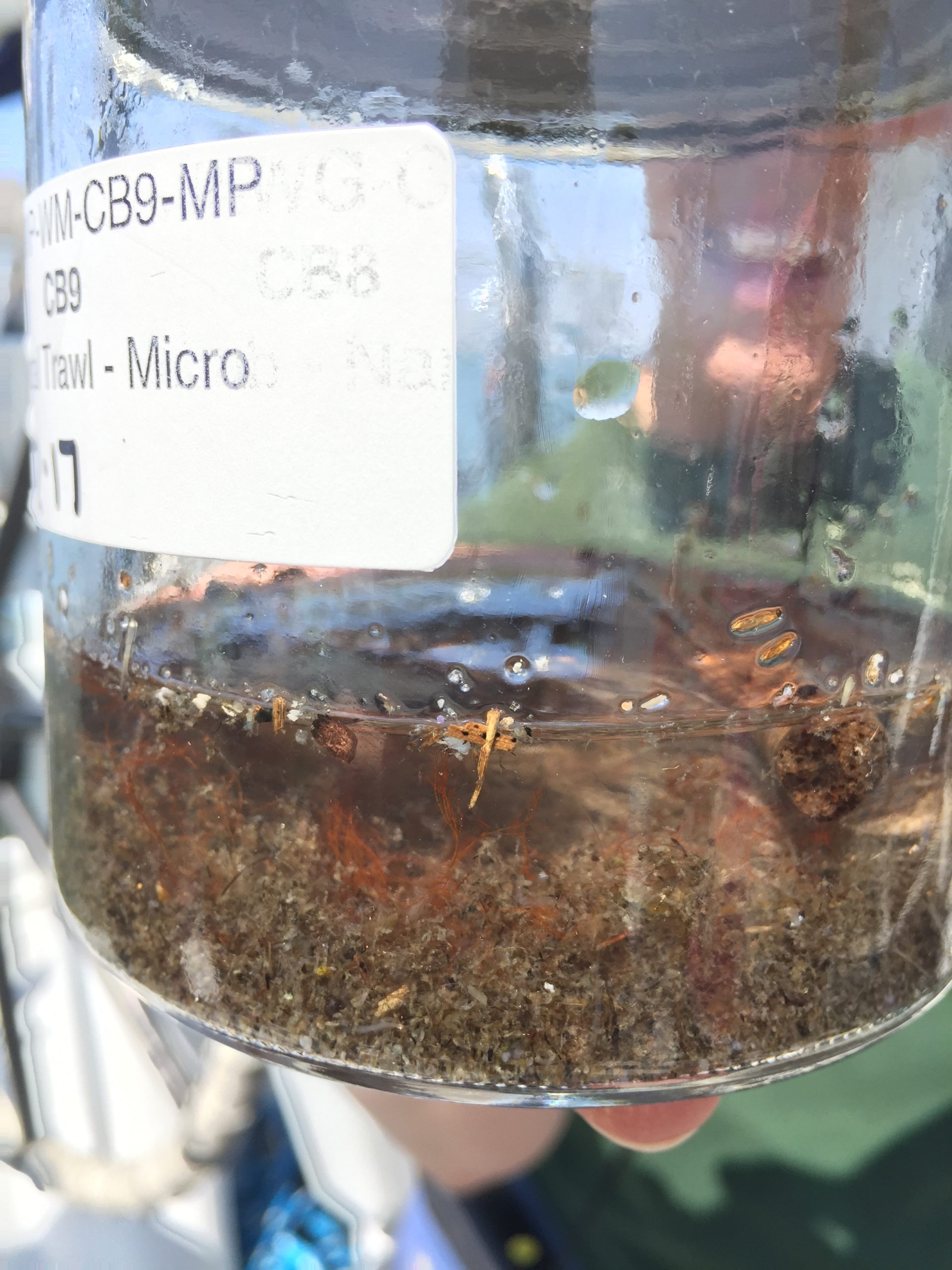 SF Bay water sample for microplastics testing