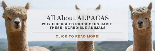Learn more about Fibershed's alpaca producers