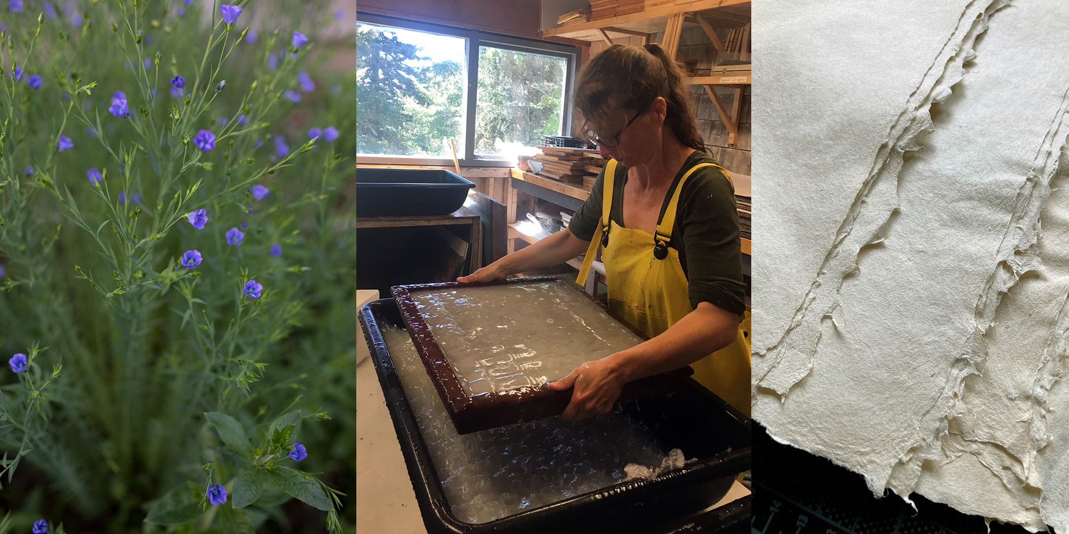 Introduction to Flax Papermaking with Michelle Wilson