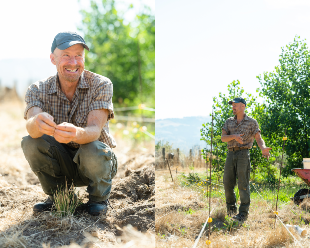 A Life Filled with Meaning at Green Goose Farm - Fibershed