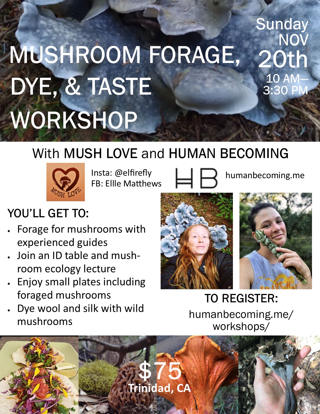 Mushroom Forage, Dye, and Taste Workshop with Mush Love & Human ...