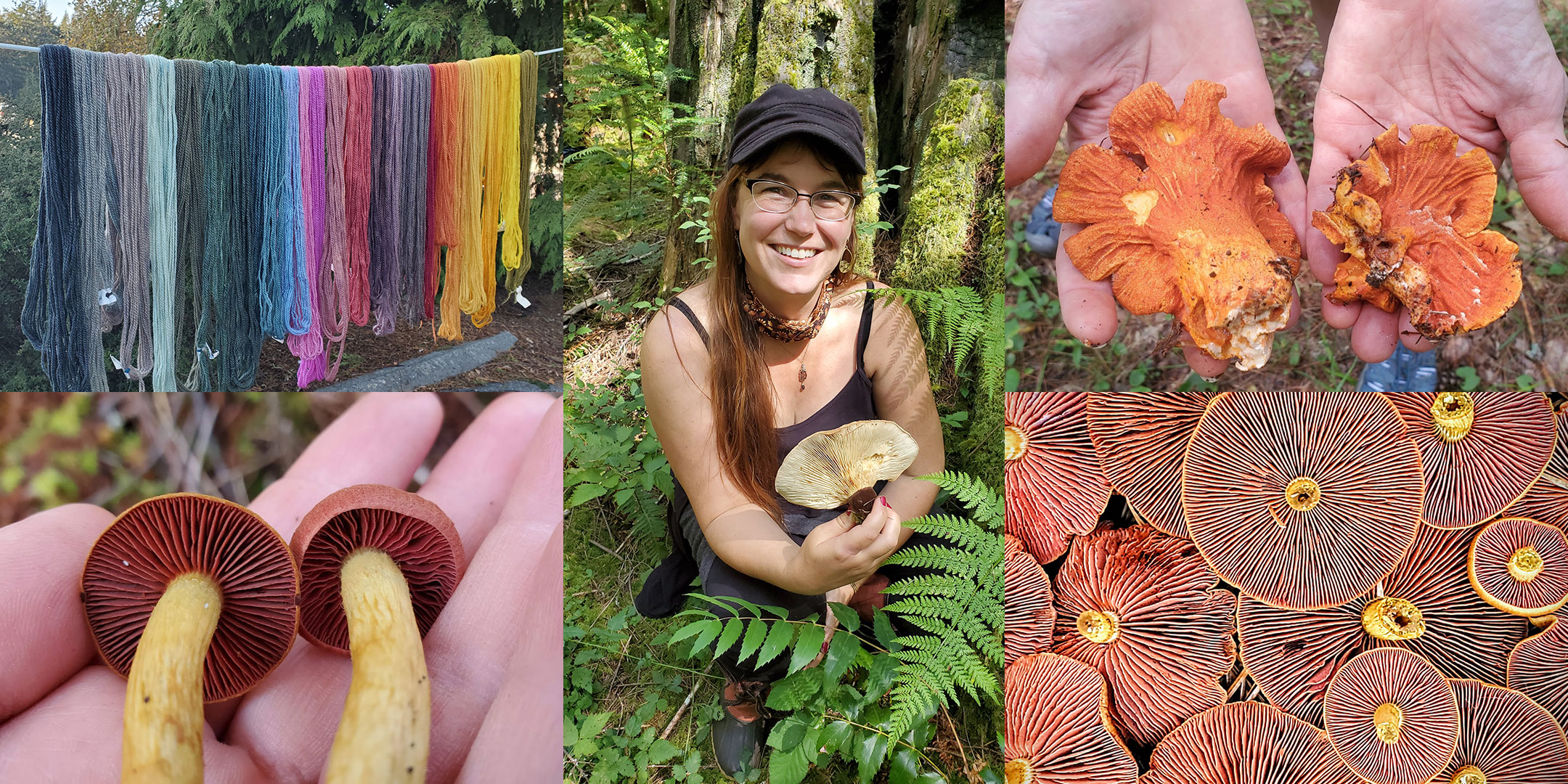mushroom dyes with Alissa Allen