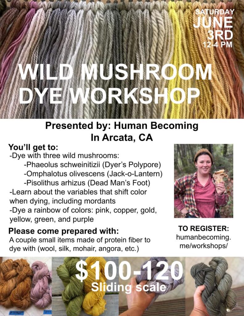 Wild Mushroom Dye Workshop with Human Becoming - Fibershed