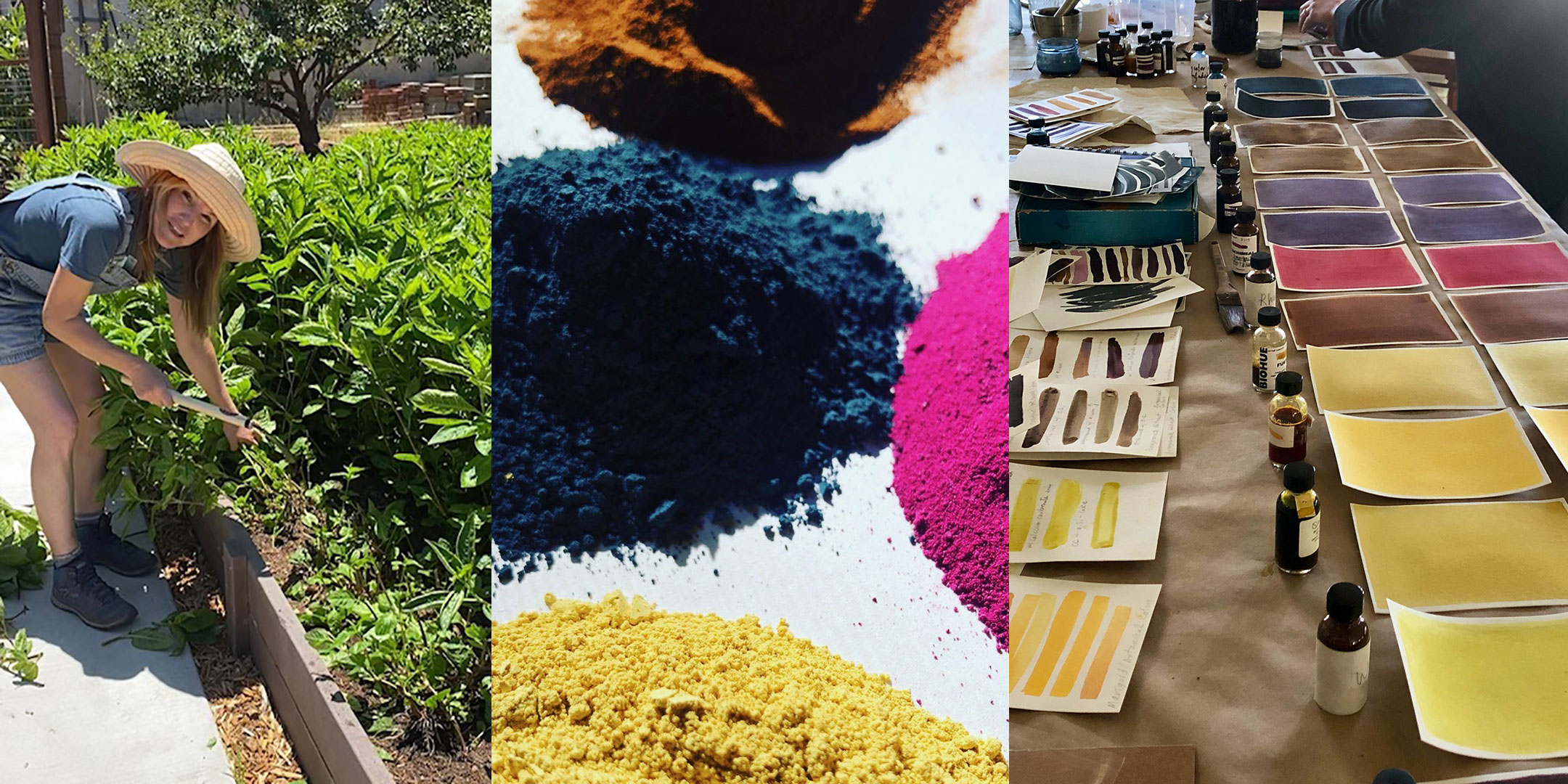 Judi working with indigo plants, colorful pigments and samples