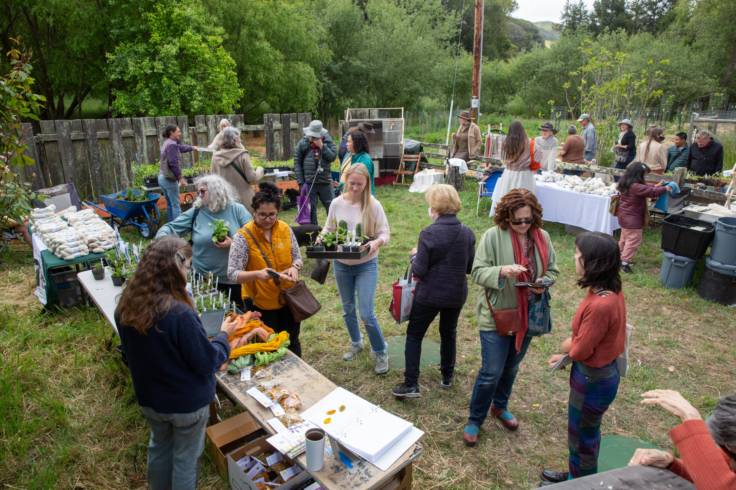 outdoor market with customers with plants yarn and dye materials