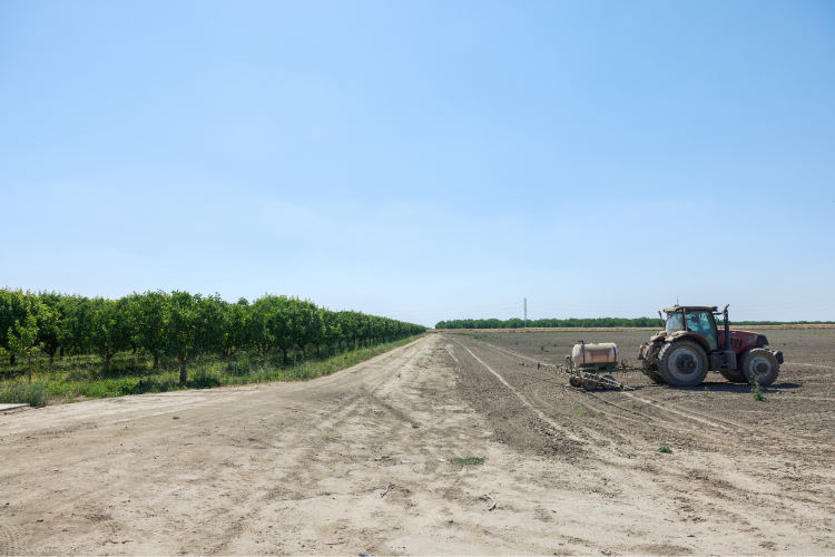 Side by side view of two very different farms